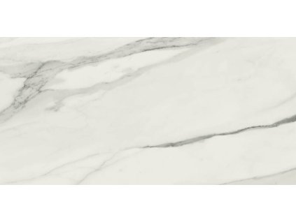 1641455559 STATUARYVENATO STATUARY VENATO C2 RECT 60X120 A036791