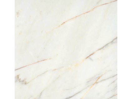 1641455569 CALACATTASLOW CALACATTA SLOW POL RECT 120X120 A039014