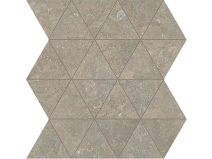 1718868343 cs arkistyle fractal tessere fossil 29x33 5 9 matt v1 1377502