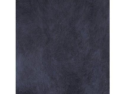 a2dddb2bef6bbb717c1a0aba706bd6c9