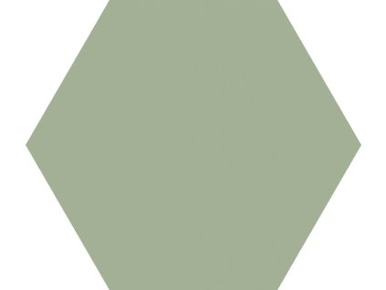 1731567688 cs codicer basic olive hex25jpg