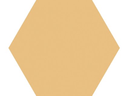 1731567598 cs codicer basic mango hex25jpg