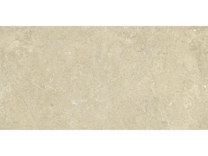 1718794721 cs d3d default j212 asy sand 60x120 7