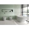 1665392602 cs dandy green white wc amb