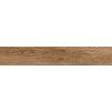 1746005025 cs firenze naturale