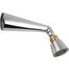 Wall-mounted shower with swivel joint, chrome/gold 9042