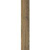 1771503862 cs ascot deep wood walnut 01 20x120 low