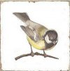 FORLI obklad Birds Decor Mix 20x20 FOL014