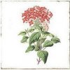 FORLI obkladačka Flowers Decor Mix 15x15 FOL011