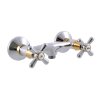 Rav Morava sprchová baterie nástěnná 100mm chrom/zlato MK180.0CZ