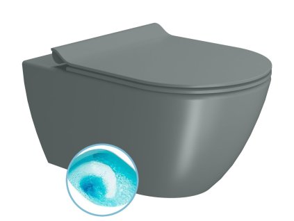 GSI COLOR ELEMENTS PURA závesná WC misa, Swirlflush, 36x55 cm, agave dual-mat 881504