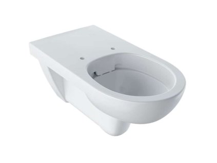 Geberit Selnova Comfort Závesné WC, 700x355 mm, Rimfree, biela 501.046.00.7