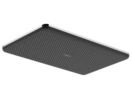 Hansgrohe Raindance Alive Q Hlavová sprcha, 21x34 cm, chróm 24530000-HG