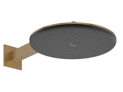 Hansgrohe Raindance Alive S Hlavová sprcha, priemer 30 cm, 2 prúdy, EcoSmart, kefovaný bronz 24541140-HG