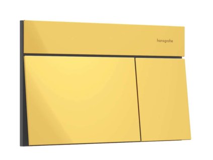 Hansgrohe iFrame Element E Ovládanie splachovania, leštený vzhľad zlata 66003990-HG