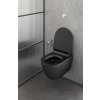 GSI COLOR ELEMENTS PURA závesná WC misa, Swirlflush, 36x55 cm, čierna dual-mat 881526