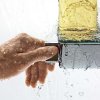 Hansgrohe Ecostat Select Termostatická sprchová batéria, chróm 13161000-HG