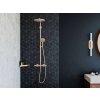 Hansgrohe AddStoris Polička rohová, kefovaný bronz 41741140-HG