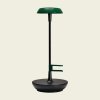 led lampa big green egg