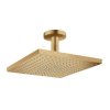 Hansgrohe Raindance E Hlavová sprcha, 30x30 cm, EcoSmart, kefovaný bronz 26251140-HG
