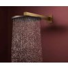 Hansgrohe Raindance Alive S Hlavová sprcha, priemer 30 cm, 2 prúdy, kefovaný bronz 24540140-HG