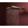 Hansgrohe Raindance Alive S Hlavová sprcha, priemer 30 cm, EcoSmart, kefovaný bronz 24521140-HG