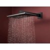 Hansgrohe Raindance Alive Q Hlavová sprcha, 21x34 cm, 2 prúdy, kefovaný čierny chróm 24550340-HG