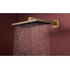 Hansgrohe Raindance Alive Q Hlavová sprcha, 21x34 cm, 2 prúdy, kefovaný bronz 24530140-HG