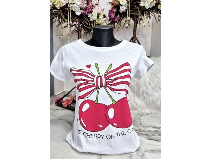 484813161 1069183301921491 7072520474368353648 n