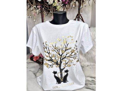 484888085 1069185141921307 770742237743794661 n