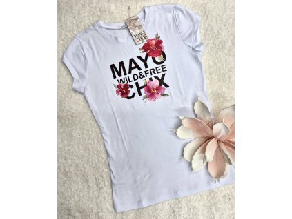 484927817 1070010378505450 6549166193140760701 n