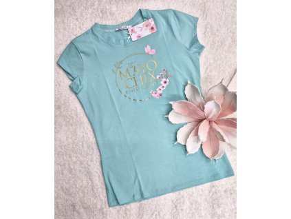 484807685 1070012091838612 8187195850773137247 n