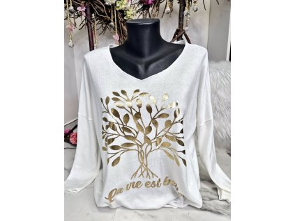 484938480 1070126735160481 2354268460490880863 n