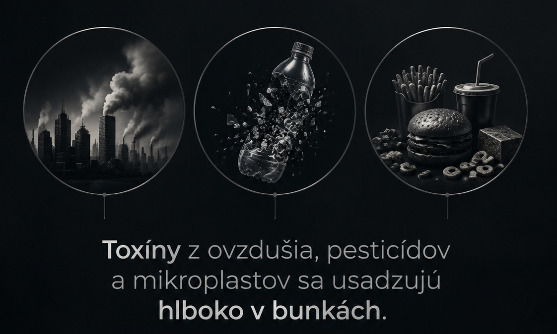 Vedecká analýza: Ako skryté toxíny v modernom svete poškodzujú náš organizmus