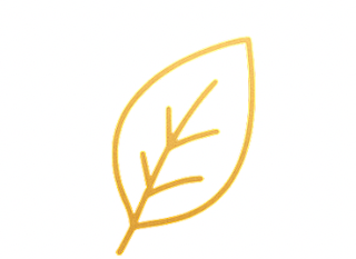 Přírodní složení