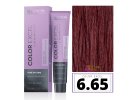 Revlon Color Excel hajszínező 6.65