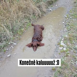 Vytoužená louže :D