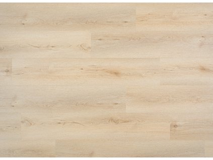 NIK 9217192 dub vidensky scaled