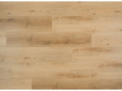 NIK 687519 dub sumavsky scaled