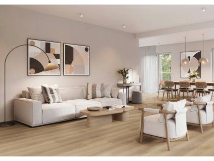 3050 DUB BARONSKY interier