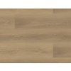 3050 DUB BARONSKY LEPENA 055