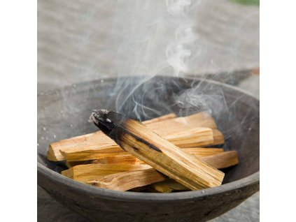 palo santo dřívka v misce