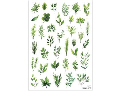 samolepky zelené listy