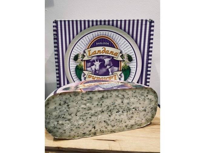 gouda (1)