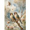 Akvarel Lenormand + ebook