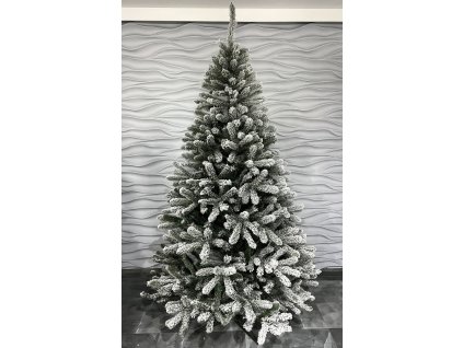 Vianočný stromček jedľa Renata Snow (Výška 180)