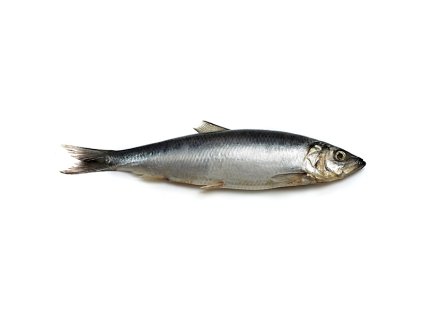 sled cely maly nekuchany 05 kg