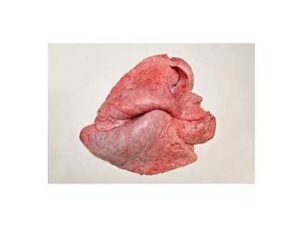 2226 1 bfb9dacb7ec7d5493ecf830c031b8a88