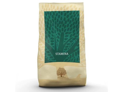 stažený soubor (5)