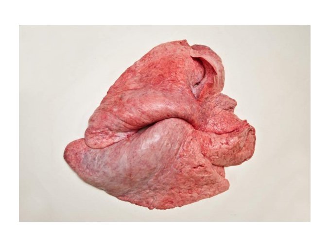 bfb9dacb7ec7d5493ecf830c031b8a88